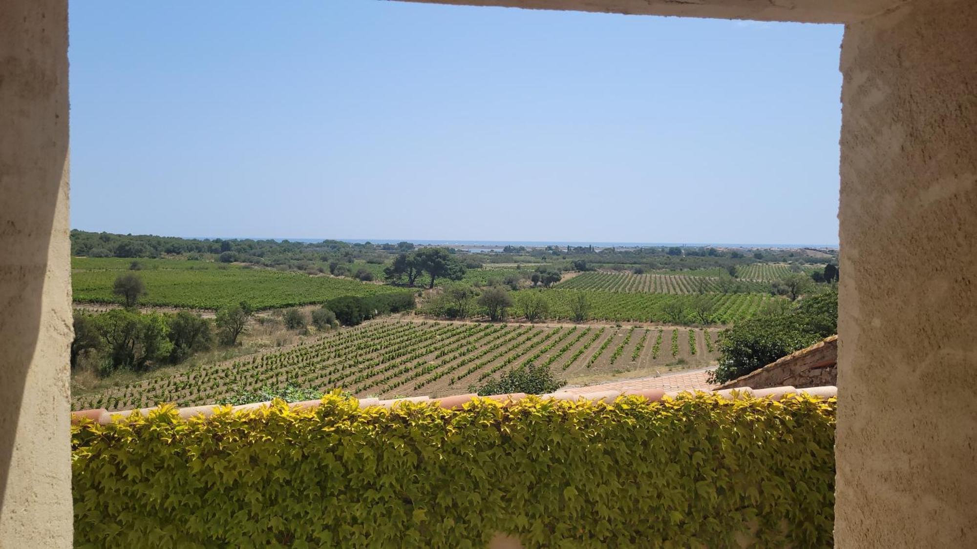Chateau Le Bouis Gruissan Εξωτερικό φωτογραφία