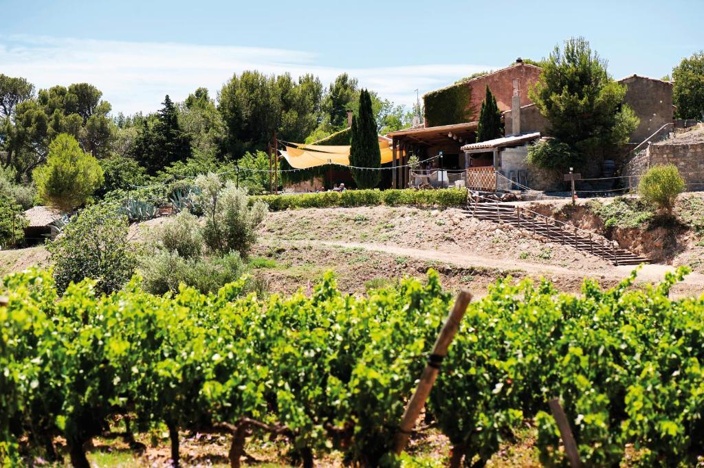 Chateau Le Bouis Gruissan Εξωτερικό φωτογραφία