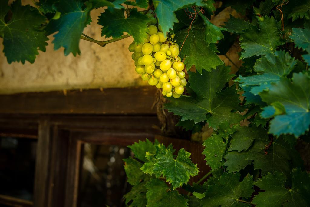 Chateau Le Bouis Gruissan Εξωτερικό φωτογραφία