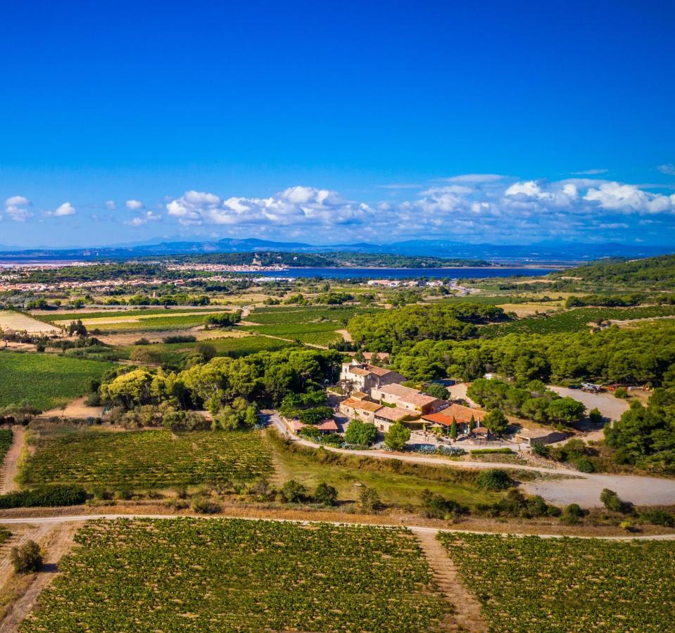 Chateau Le Bouis Gruissan Εξωτερικό φωτογραφία